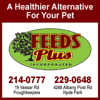 Feeds Plus