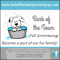 Bark of the Town Pet Grooming & Doggie Daycare