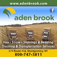 Aden Brook